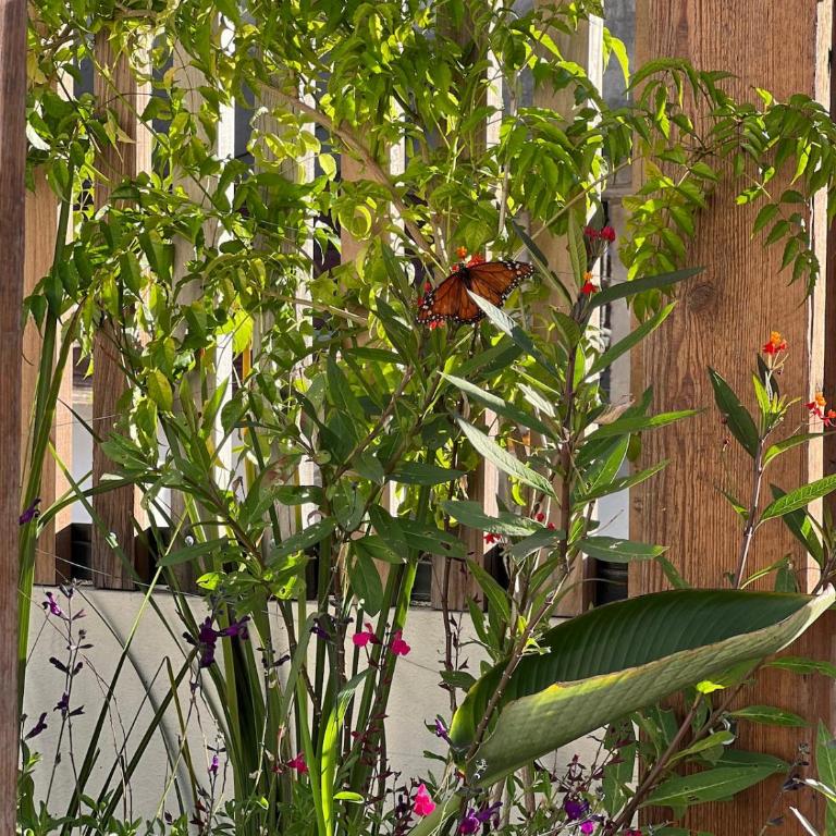 Casa Serrano Stunning 4bed luxury home with terrace - Casa de 4 dormitorios - 14