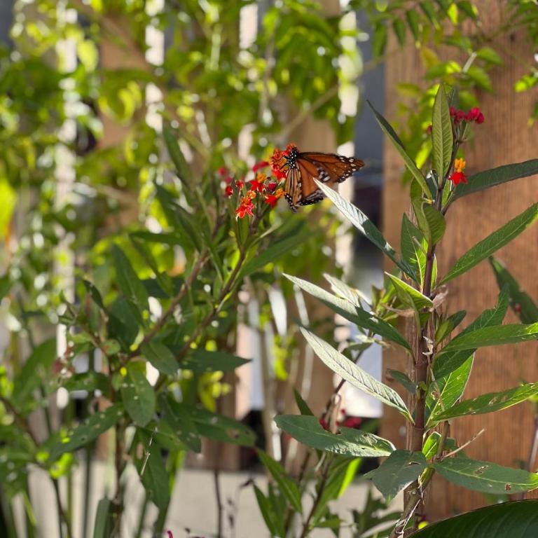 Casa Serrano Stunning 4bed luxury home with terrace - Casa de 4 dormitorios - 35