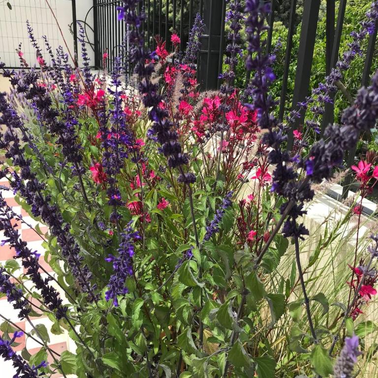 Casa Serrano Stunning 4bed luxury home with terrace - Casa de 4 dormitorios - 53