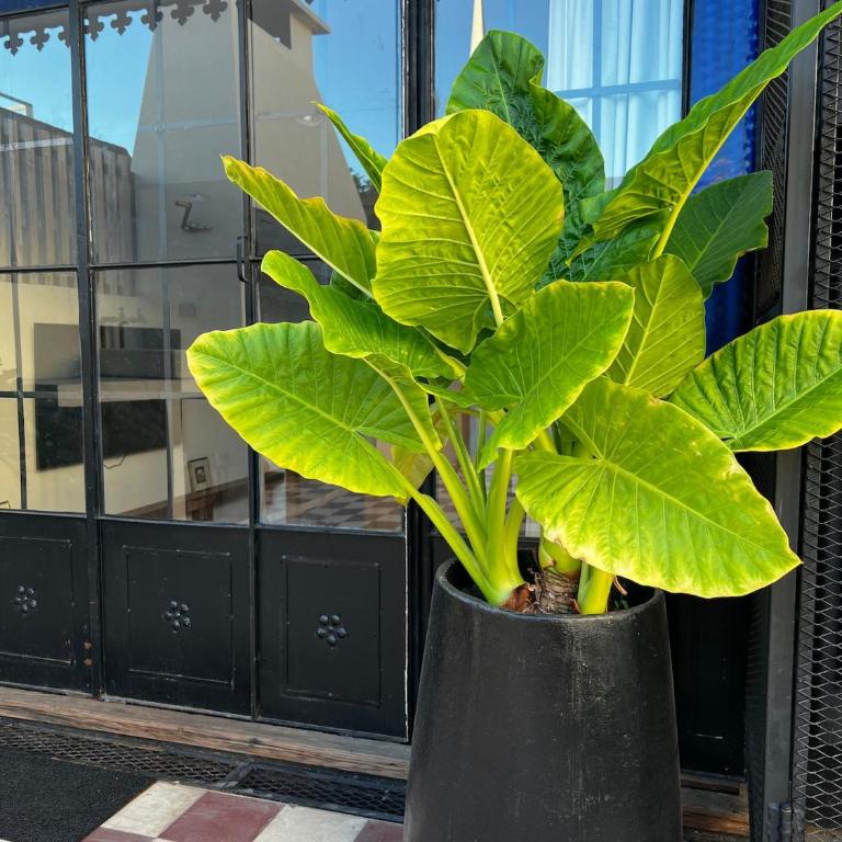 Casa Serrano Stunning 4bed luxury home with terrace - Casa de 4 dormitorios - 62