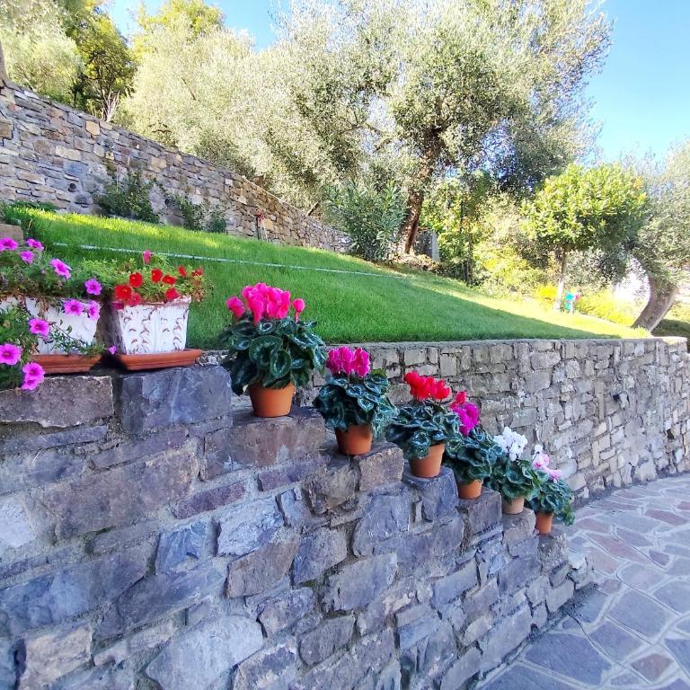 Almarea, a house between the sea and olive trees - Appartamento con 1 Camera da Letto - 15