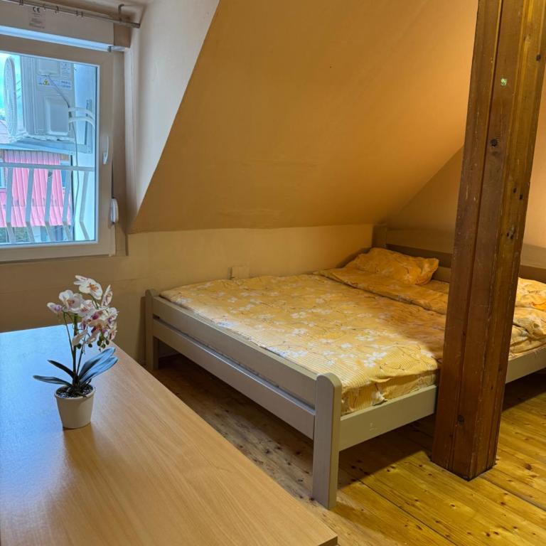 Central Cozy Apartment - Appartement 2 Chambres - 4
