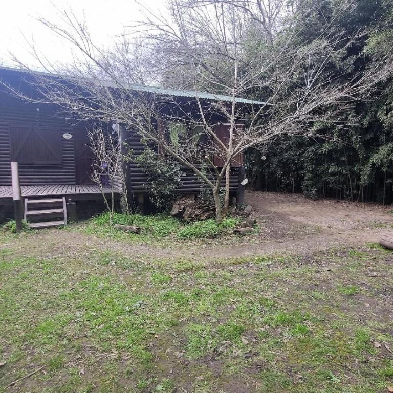 Estancia tranquila para relajar en Pilar - Casa de campo - 12