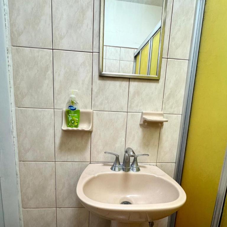 Casa Dos Palmas, hermosa y centrica - Casa - 14