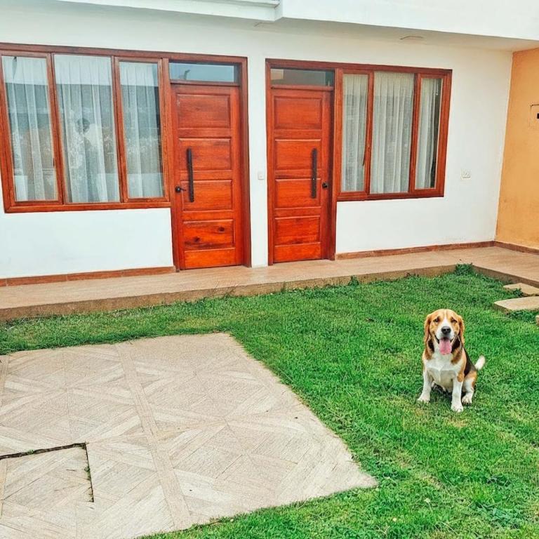 Comfort and Green Area for pets - Apartamento de 1 dormitorio - 12
