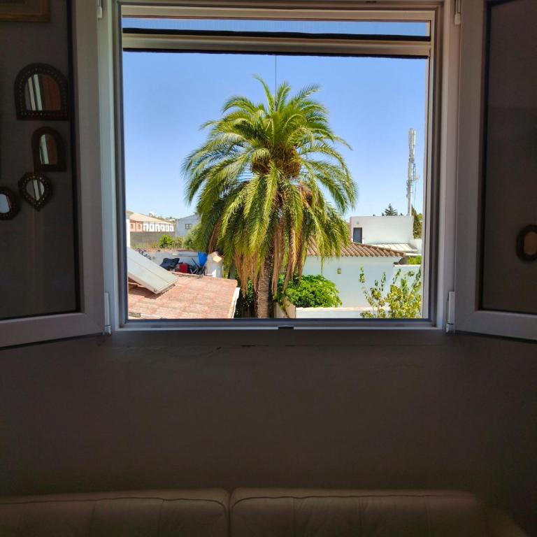 Villa Coral - Apartamento de 3 dormitorios - 28