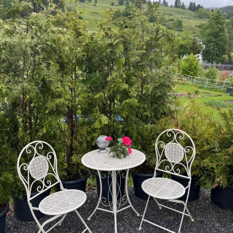 Exklusives Berg-Bijou mit Bergblick mit privaten Wellnessbereich Hot Tube und Sauna -Hunde herzlich Willkommen mit eingezäunten Grundstück - Ferienhaus - 97