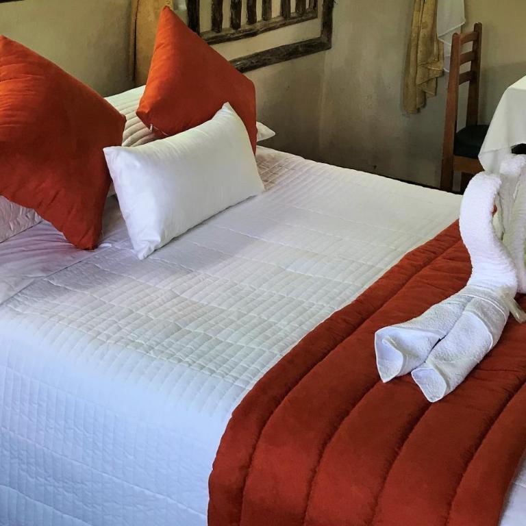 Suchipakari Amazon Eco -Lodge & Jungle Reserve - Habitación Doble Estándar - 3