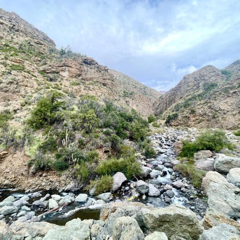 Cabaña equipada en el Ingenio , hot tub y parrilla - Casa con 1 dormitorio - 14