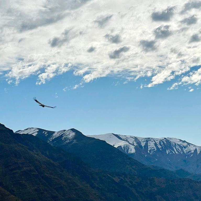Cabaña equipada en el Ingenio , hot tub y parrilla - Casa con 1 dormitorio - 25