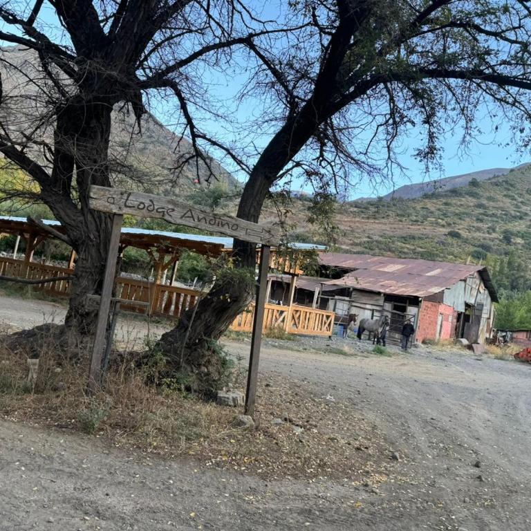 Cabaña equipada en el Ingenio , hot tub y parrilla - Casa con 1 dormitorio - 70