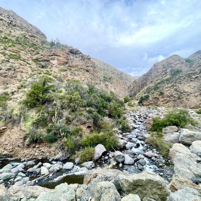 Cabaña equipada en el Ingenio , hot tub y parrilla - Casa con 1 dormitorio - 84