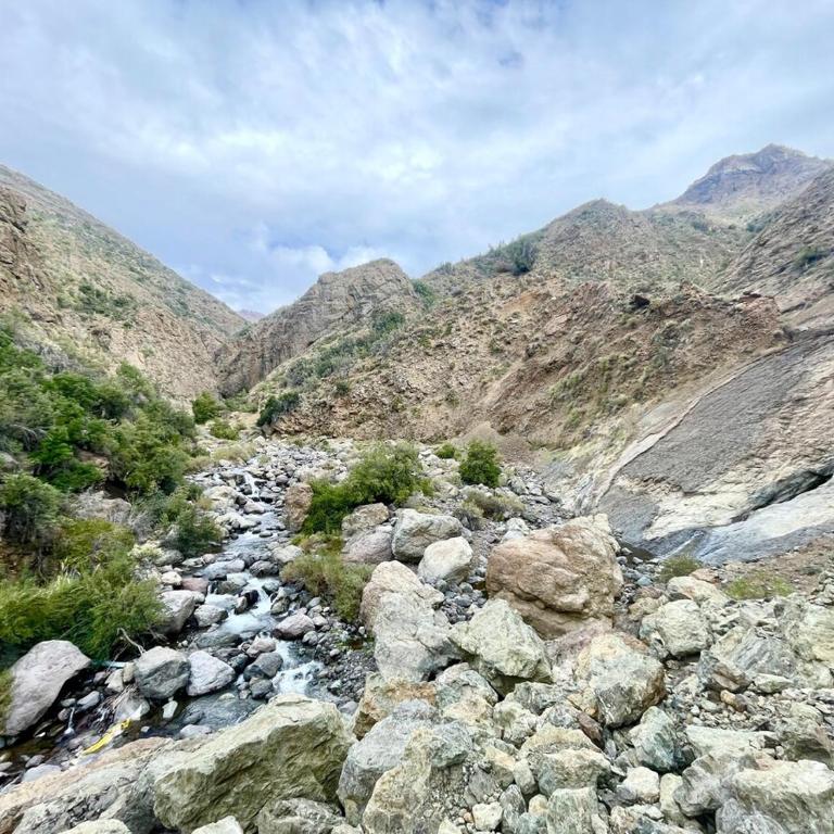 Cabaña equipada en el Ingenio , hot tub y parrilla - Casa con 1 dormitorio - 92