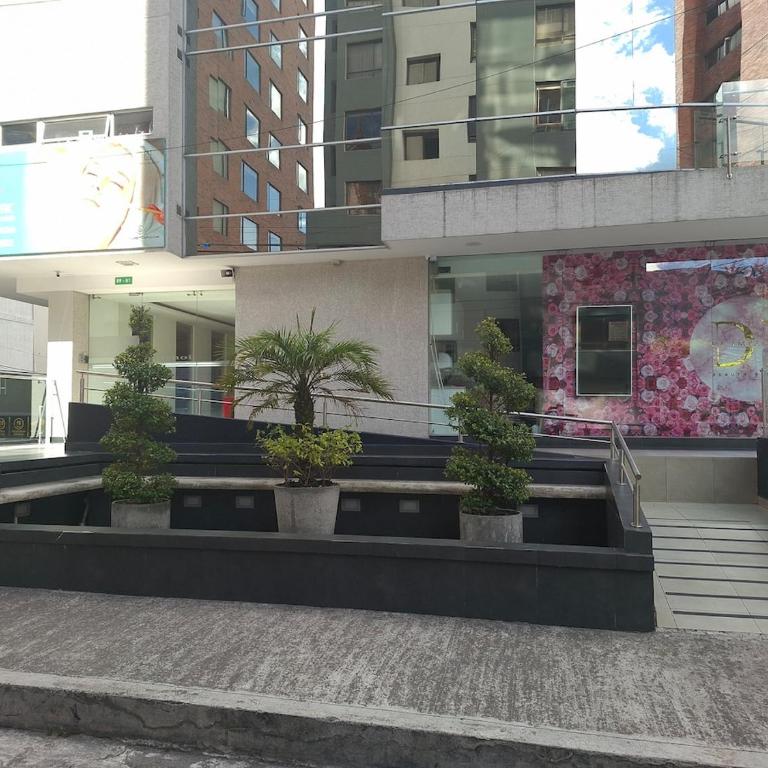 Luxury 3BR La Carolina w Experienced Tour Guides - Apartment - 2