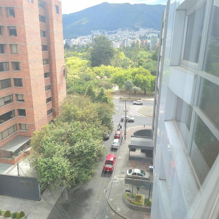 Luxury 3BR La Carolina w Experienced Tour Guides - Apartment - 6