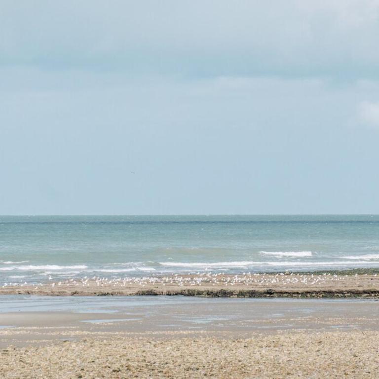 Les Garennes à deux pas de la plage et du centre ville, ménage inclus - Apartment mit 1 Schlafzimmer - 13