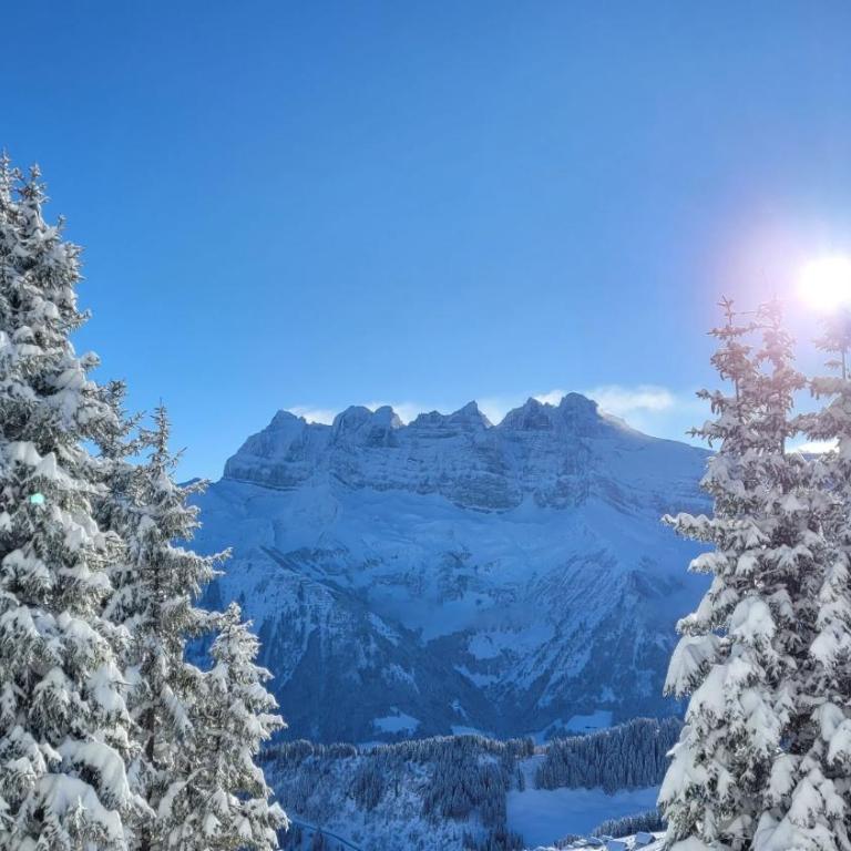 Chalet Ecureuil à Champoussin - Portes du Soleil - Apartment mit 2 Schlafzimmern und Terrasse - 26