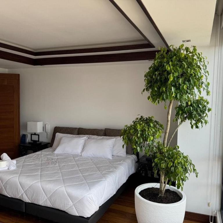 Stadium view Luxury Penthouse Tours - One-Bedroom Apartment - 27