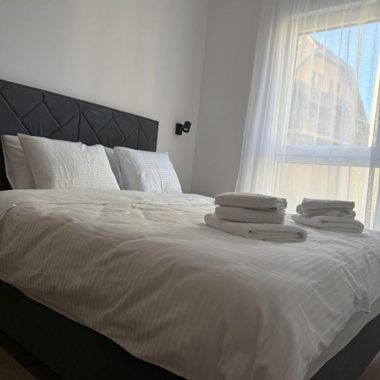 APARTMAN 21 Zlatibor porodični smeštaj na Zlatiboru - One-Bedroom Apartment - 13