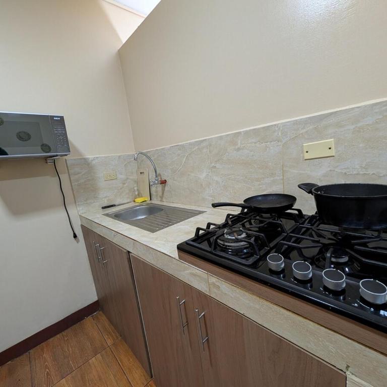 DownTown Suites - One-Bedroom Apartment - 5