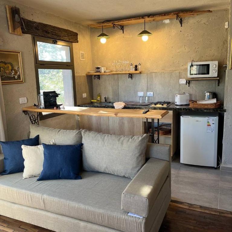 Terrazas Suite - Chalet de 1 dormitorio - 10