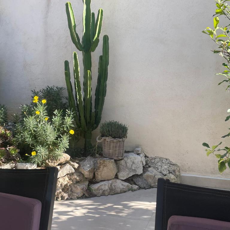 La villa des Carriers - maison avec piscine, 10 min mer - Villa - 38