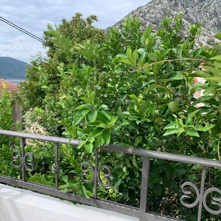 Villa Petrana - Studio Apartment with Sea View - 29