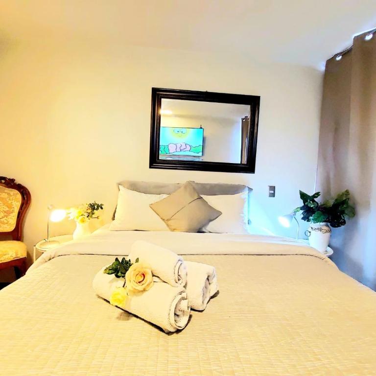 A4 Dpto Santa Lucía Clinica Católica - One-Bedroom Apartment - 3