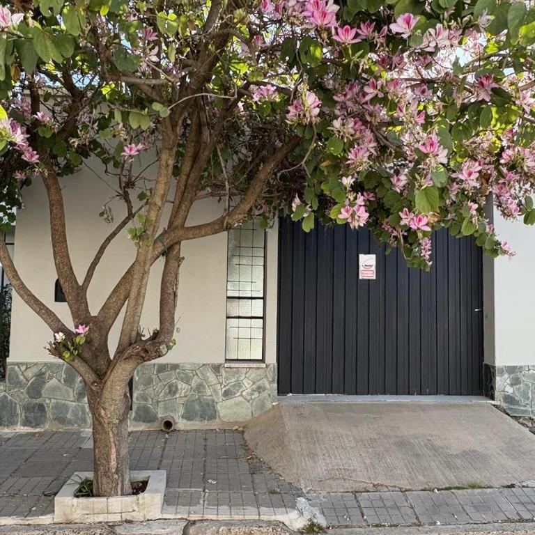 Casa Rita - Three-Bedroom House - 1