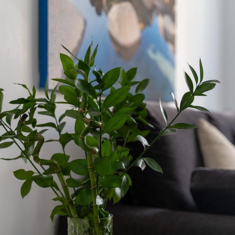 Endorfita Sonrisa - Canteras Beach - Apartamento de 2 dormitorios - 76