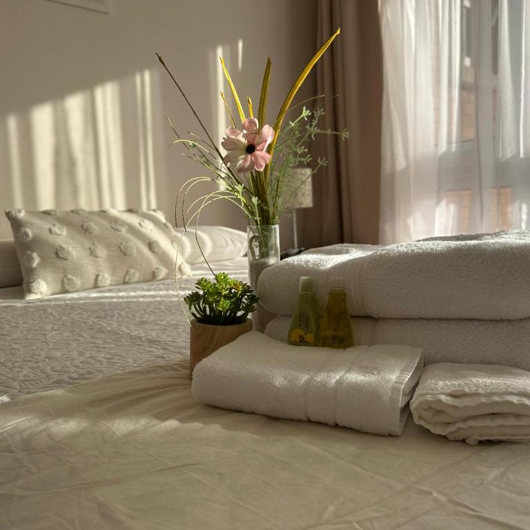 Dpto 2 dormitorios Cercano Aeropuerto, Concepción - Apartamento de 2 dormitorios - 1