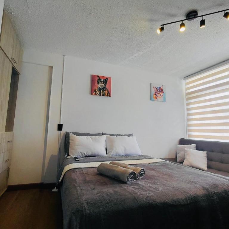 Estudio cable plaza confort y ubicación ideal - Apartamento de 1 dormitorio - 3