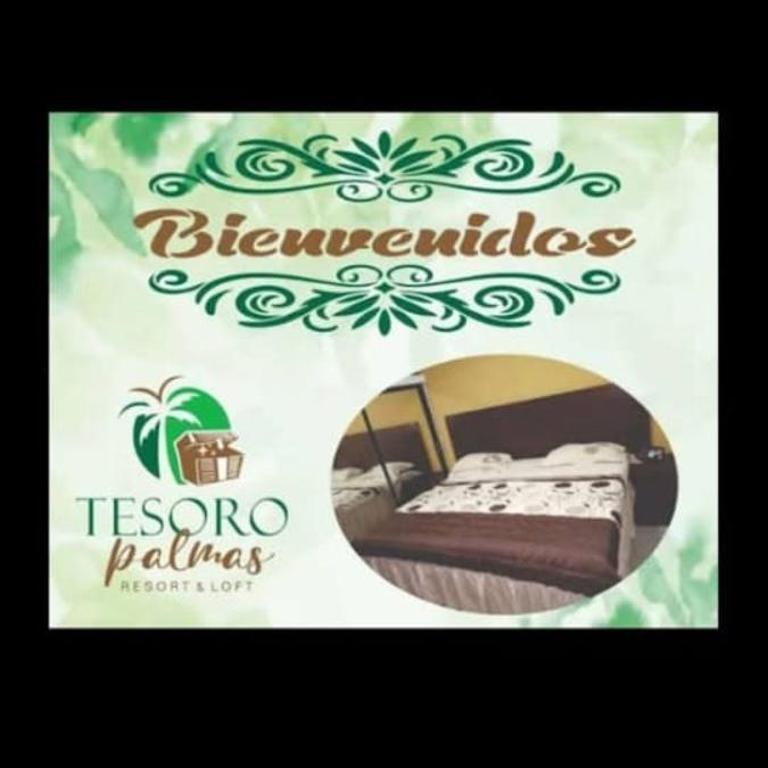 Tesoro Palmas Resort - One-Bedroom Apartment - 10
