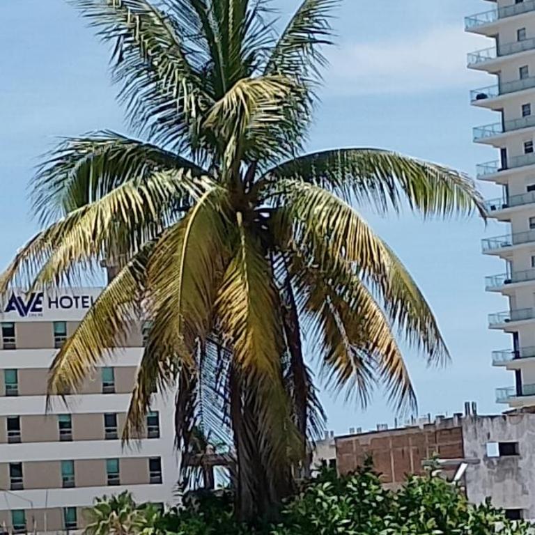 Tesoro Palmas Resort - One-Bedroom Apartment - 18