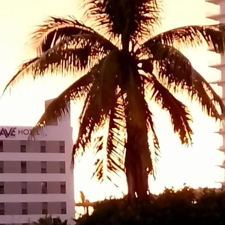 Tesoro Palmas Resort - One-Bedroom Apartment - 19