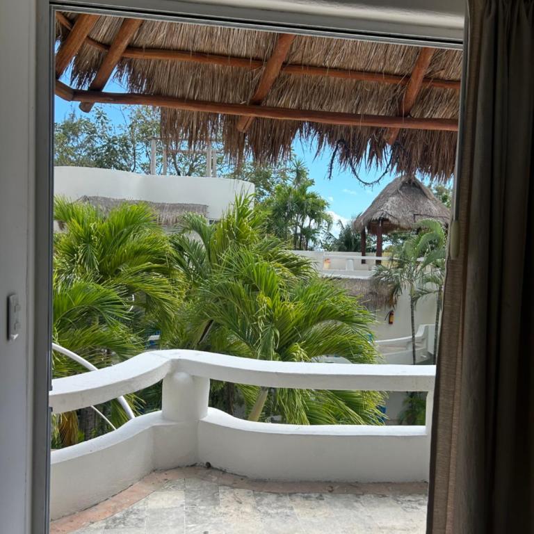 blue angel 21 a unos pasos de la playa y la 5 av - Apartamento de 1 dormitorio - 20