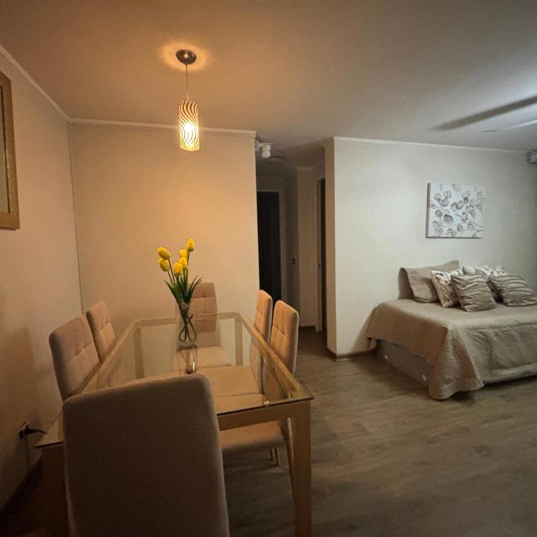 Deptos En Centro De Santiago - Apartment - 6