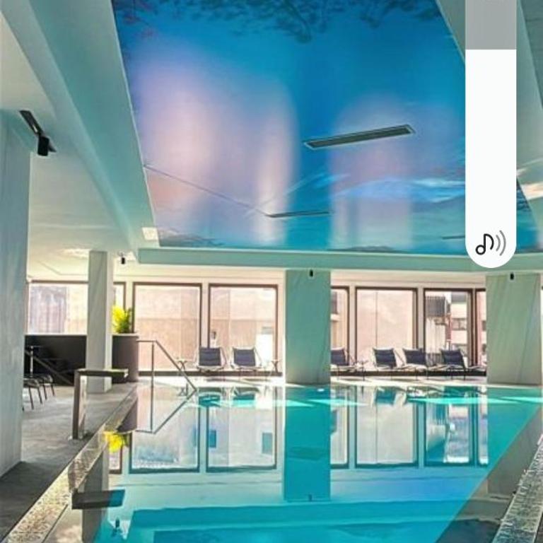 304 Vila borova Wellnes&spaa - Apartman sa 1 Spavaćom Sobom - 7