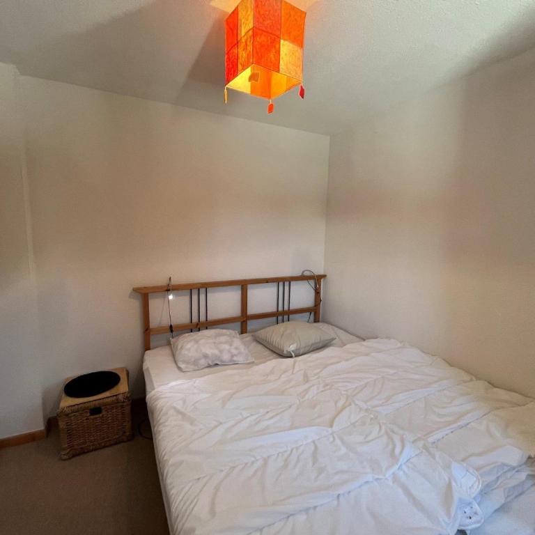 Appartement Châtel 4 pers, terrasse, parking - FR-1-198-203 - Appartement - 9