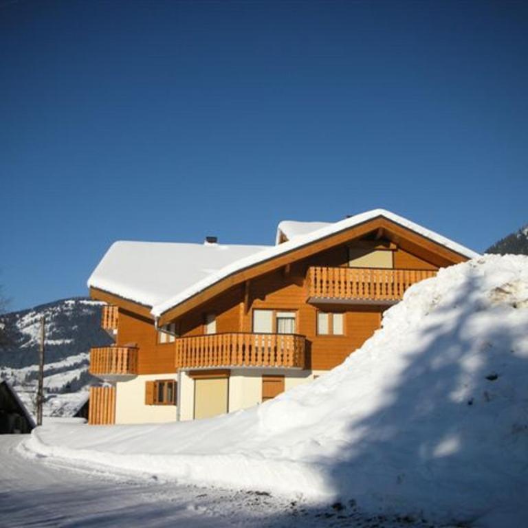Appartement Châtel 4 pers, terrasse, parking - FR-1-198-203 - Appartement - 12