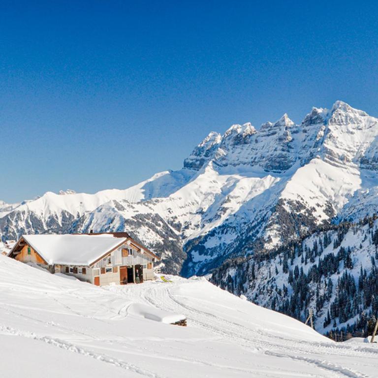Chalet Alpage - Ferienhaus - 2