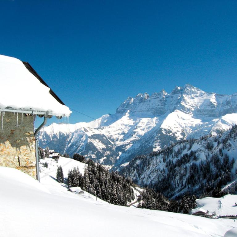 Chalet Alpage - Ferienhaus - 33