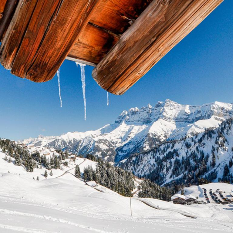 Chalet Alpage - Ferienhaus - 36