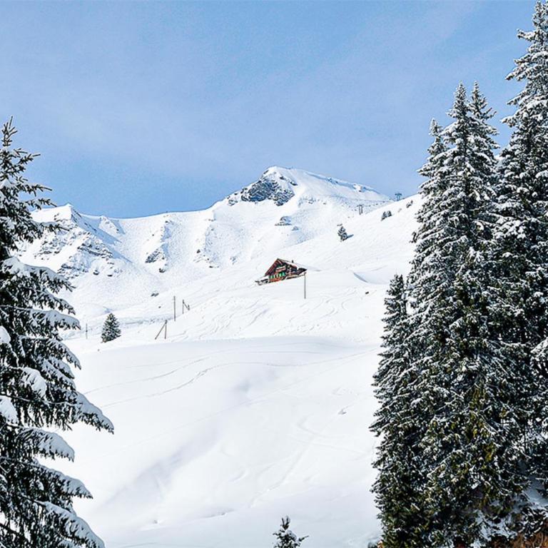 Chalet Alpage - Ferienhaus - 37