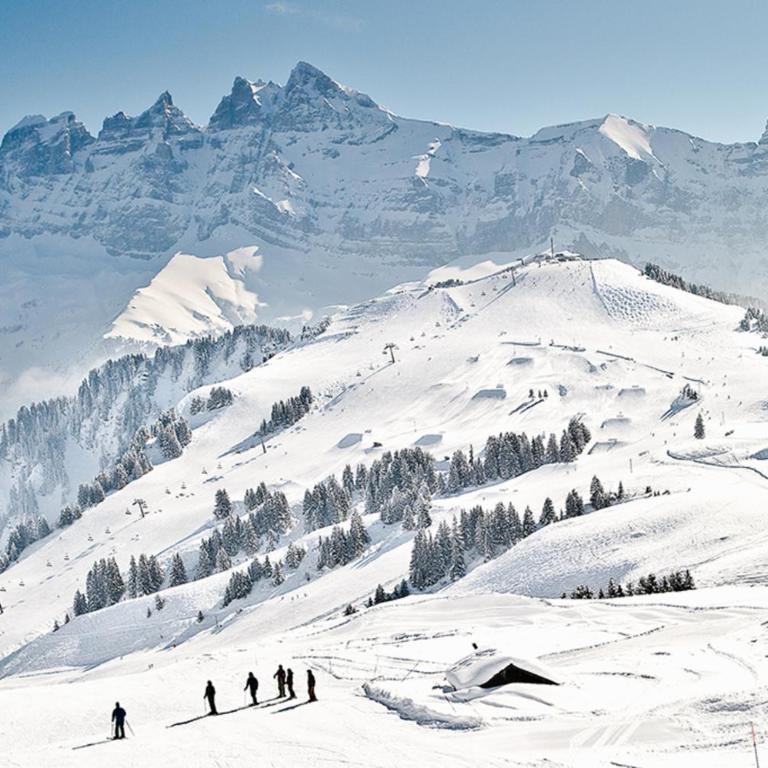 Chalet Alpage - Ferienhaus - 42