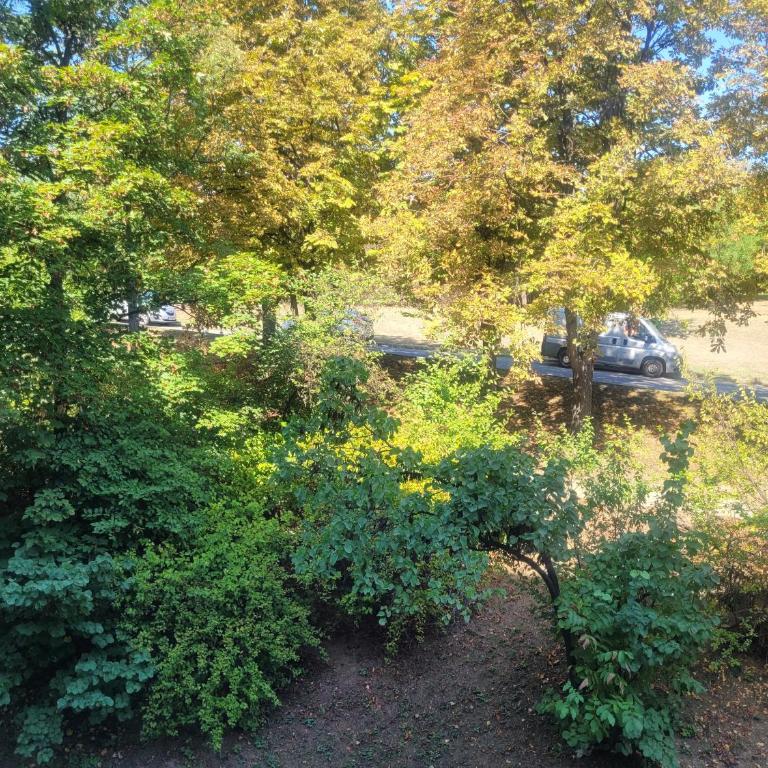 ML Apartman - Apartment - 12