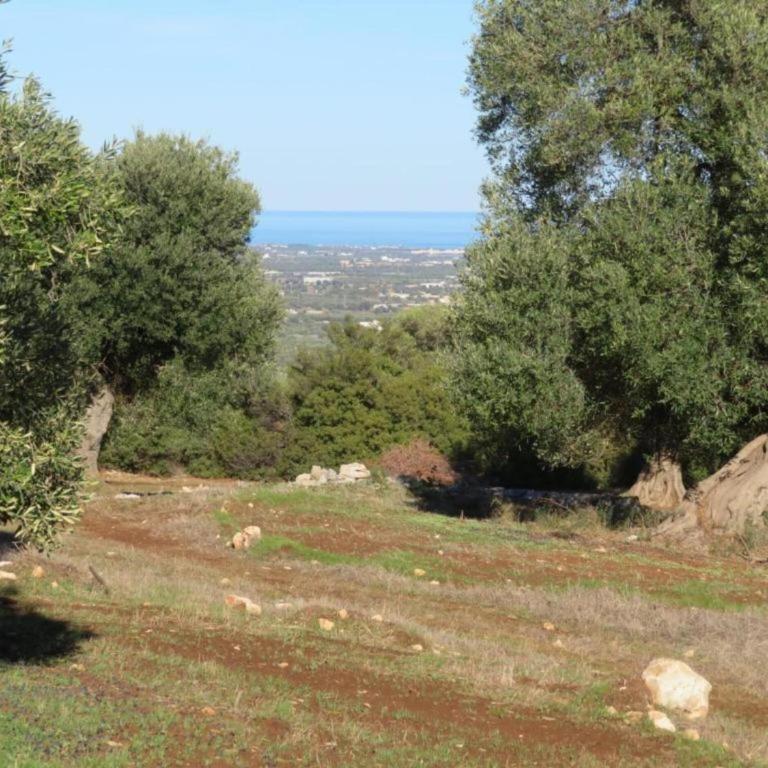 Tranquil Villa in Apulia - Villa con 3 Camere da Letto - 30