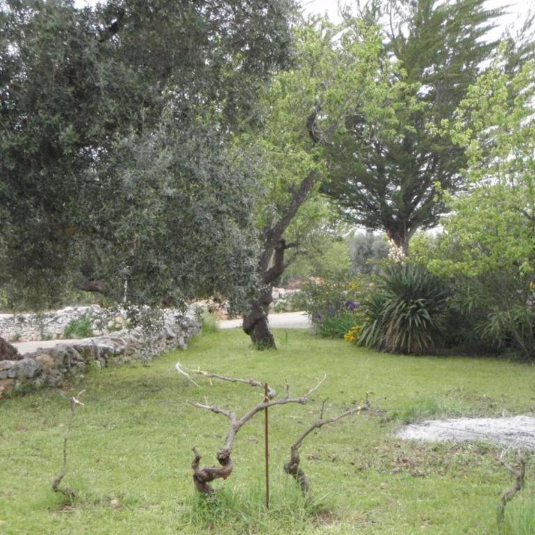 Tranquil Villa in Apulia - Villa con 3 Camere da Letto - 23