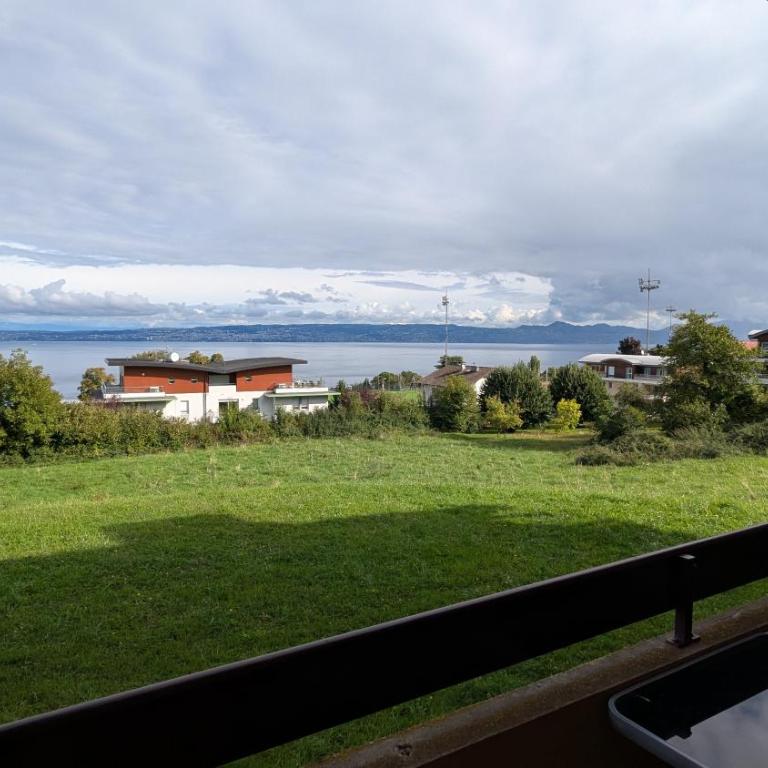 Le Panoramic Evian - One-Bedroom Apartment - 7