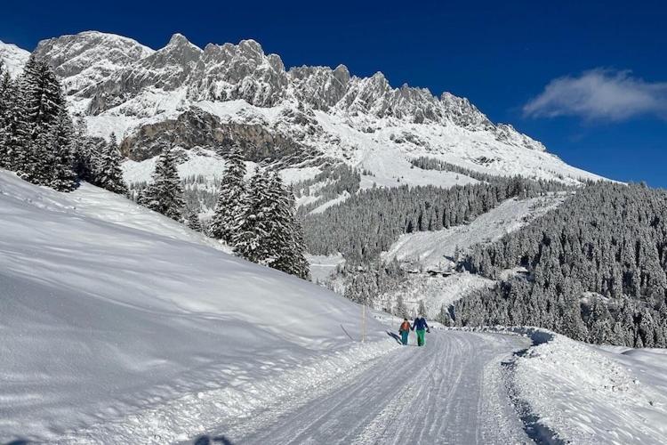 Chalet in Mühlbach near Ski Slopes - Superior Chalet - 33